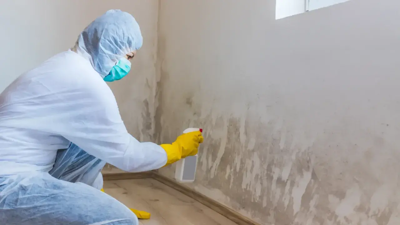 Persona con traje protector y mascarilla rocía producto para eliminar moho en la pared.