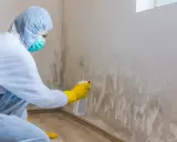 Persona con traje protector y mascarilla rocía producto para eliminar moho en la pared.