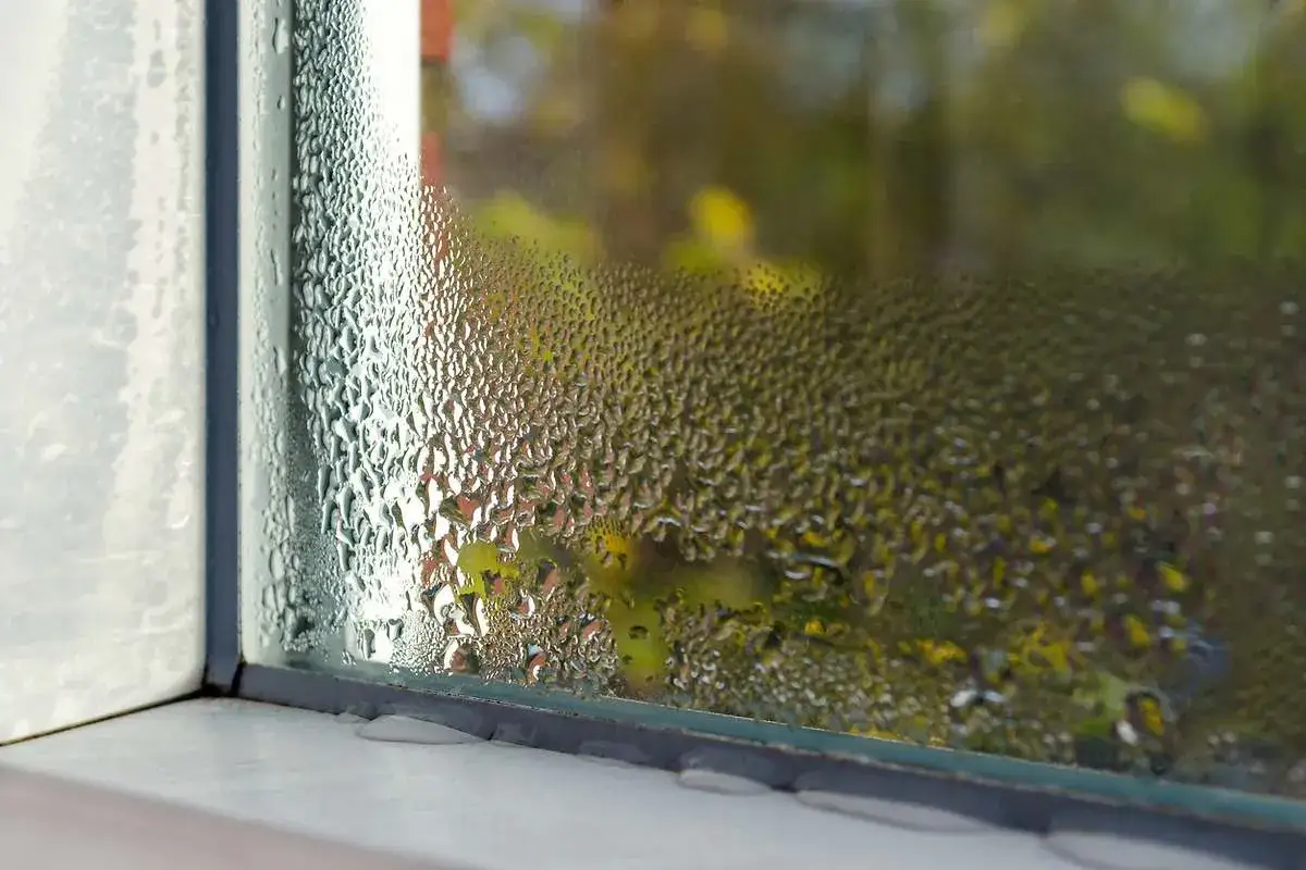 Gotas de lluvia empañan la ventana, creando un velo borroso sobre el exterior verde y amarillo.